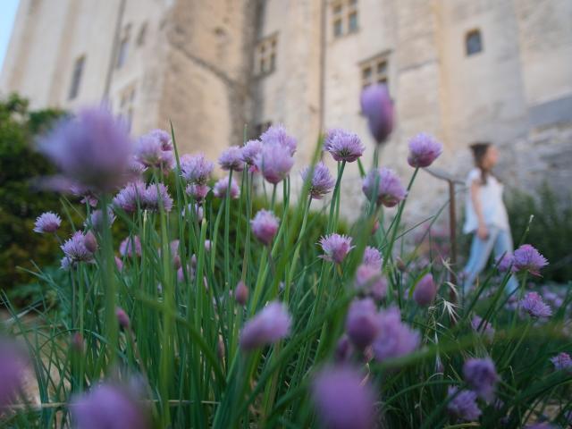 Les jardins pontificaux