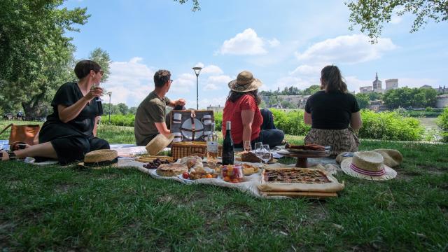 Picnic sulla Barthelasse