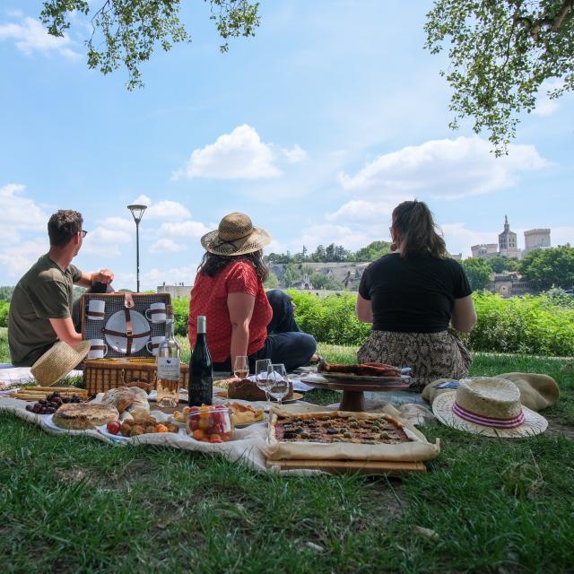 Picnic sulla Barthelasse