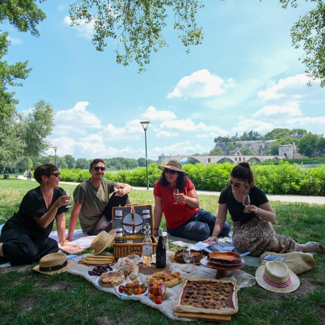 pique-nique entre amis sur l'île de la Barthelasse