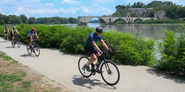 Biciclette sulla Barthelasse