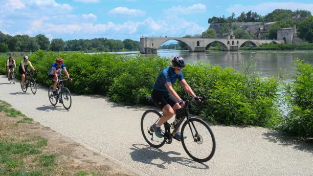 Vélos sur la Barthelasse