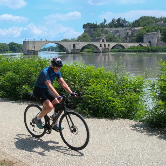 Bicicletas en la Barthelasse