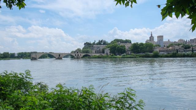 Pont d'Avignon depuis la Barthelasse