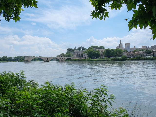 Pont d'Avignon dalla Barthelasse