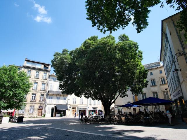 Plaza Saint-Didier