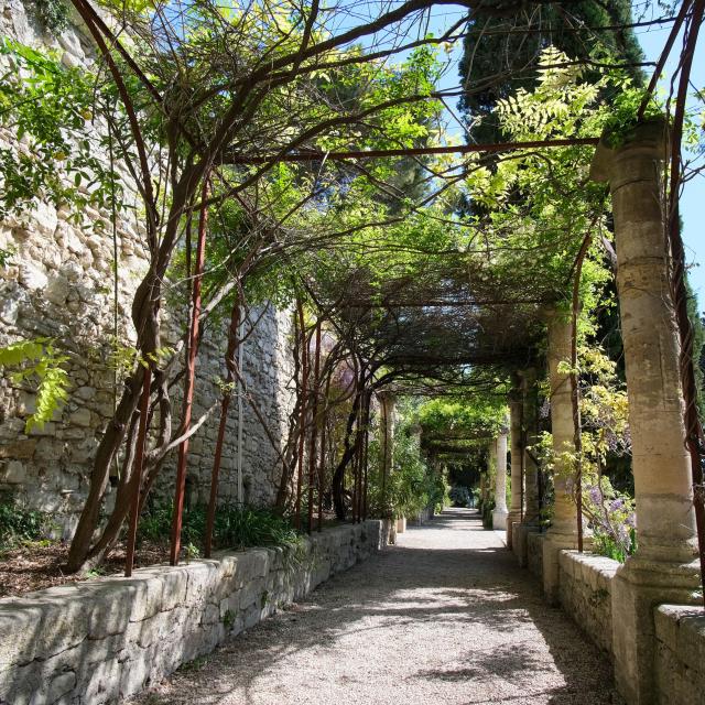 Les Jardins de l'Abbaye Saint-André de Villeneuve-lez-Avignon - Crédit photo : Olivier Tresson / Avignon Tourisme