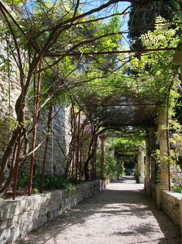 Les Jardins de l'Abbaye Saint-André de Villeneuve-lez-Avignon - Crédit photo : Olivier Tresson / Avignon Tourisme