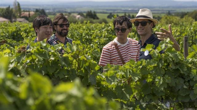 Les Circuits Dans Les Vignobles A La Française ! Provence