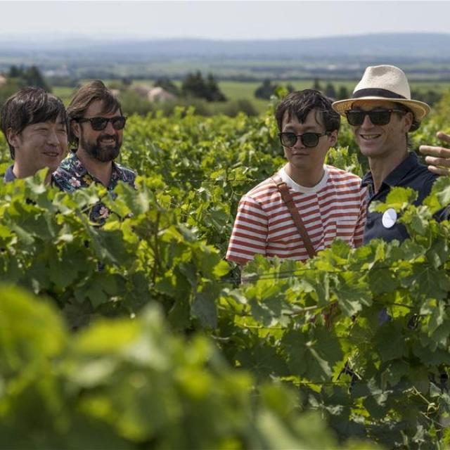 French Wine Tours ! Provence