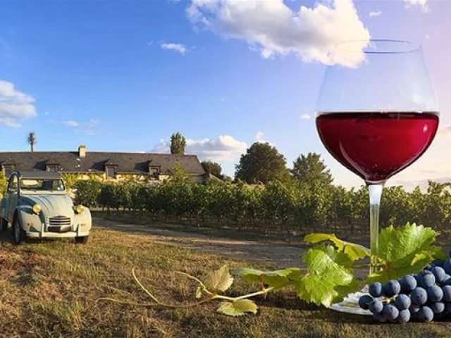 Wine Tours Avignon Prestige Tour