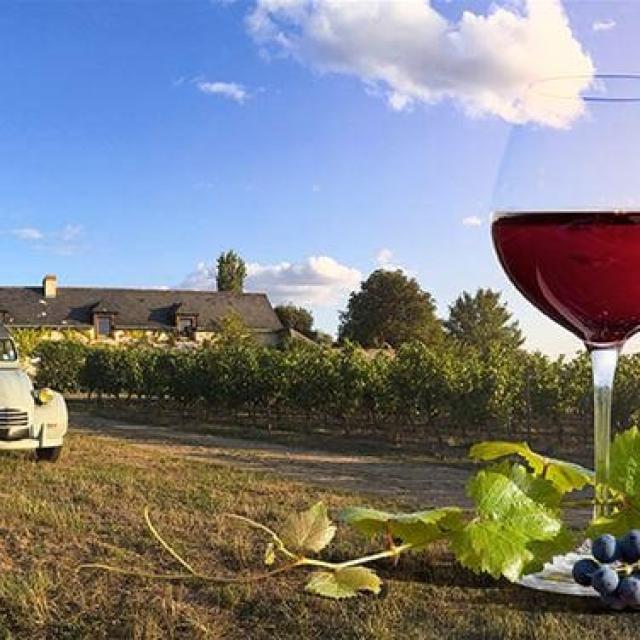 Les Circuits Dans Les Vignobles Avignon Prestige Tour