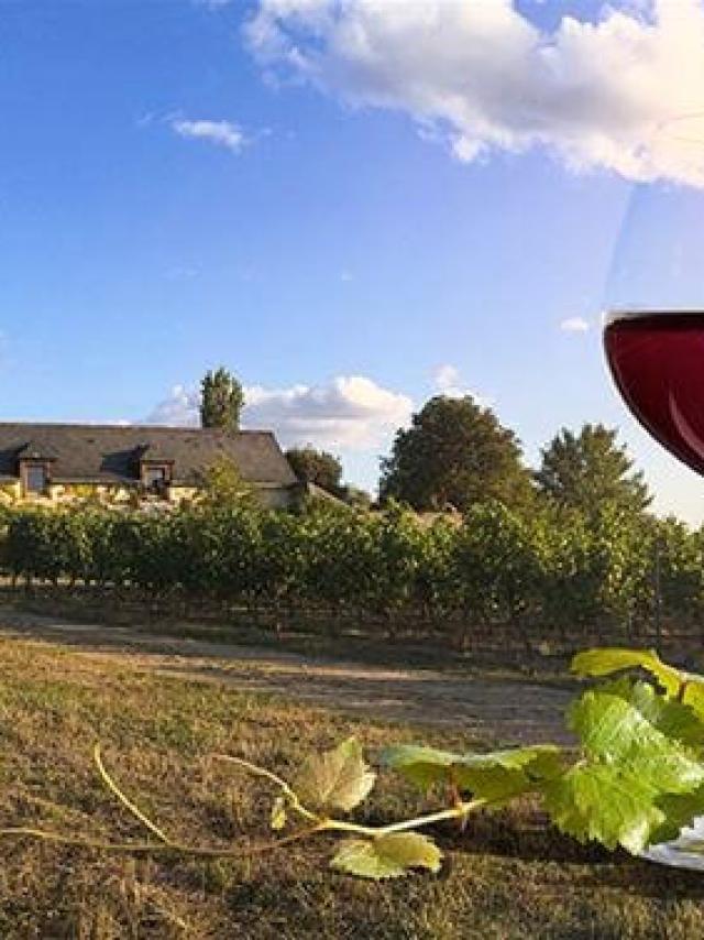 Les Circuits Dans Les Vignobles Avignon Prestige Tour