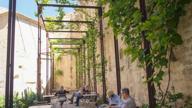 Jardins du Palais des Papes - le Griffon