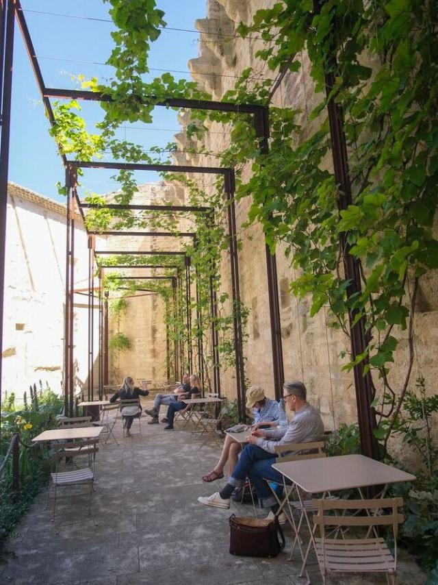 Jardins du Palais des Papes - le Griffon