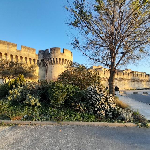 Balade le long des remparts