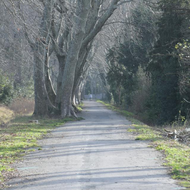 Parcours Canal Puy