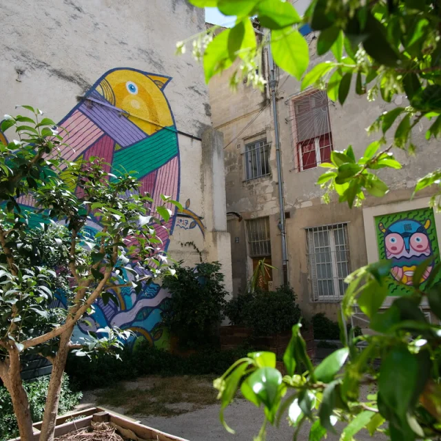 Visite guidée arts urbains et street art OTresson Avignon Tourisme