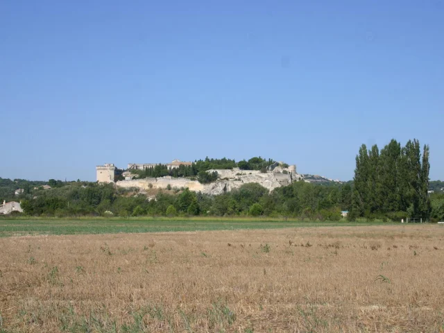 Plaine de l'Abbaye 30400 Villeneuve-lès-Avignon