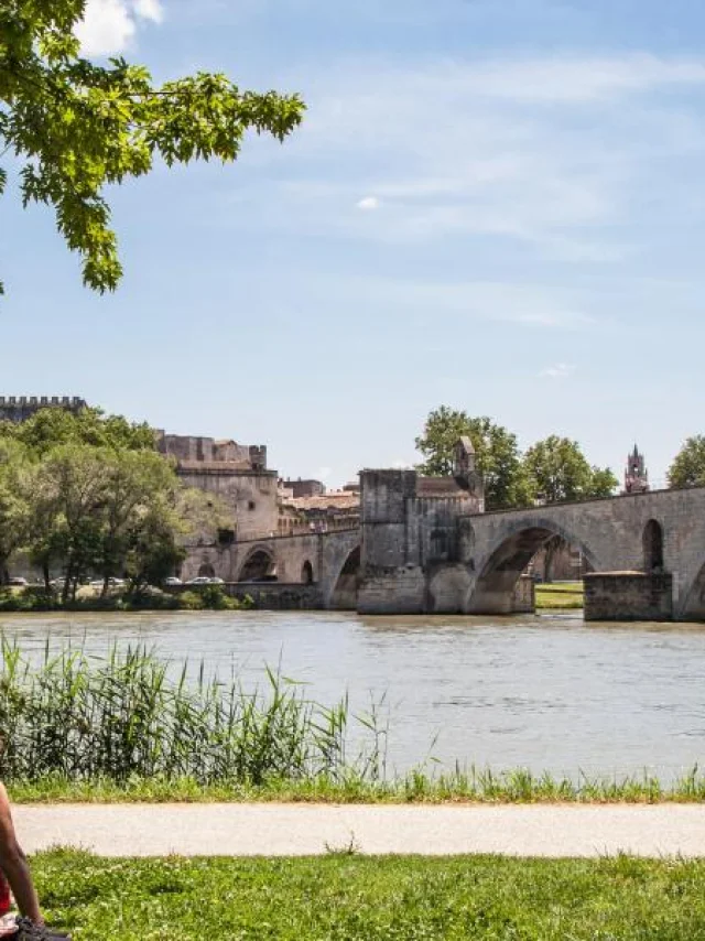 Vue Sur Le Pont Saint Benezet Depuis Lile De La Barthelasse 1200x600 1