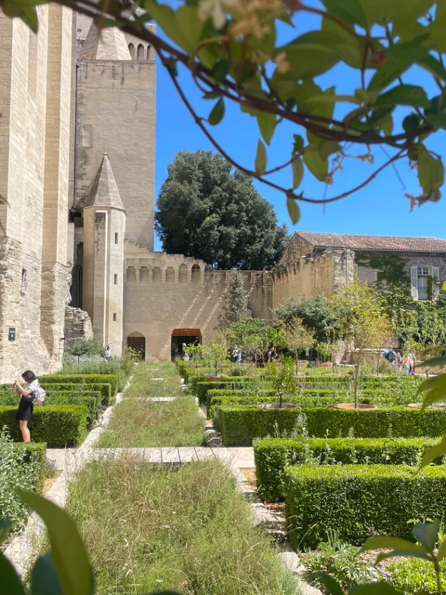 Jardin Des Papes - Benoit XII ©ENoveJosserand / Avignon Tourisme