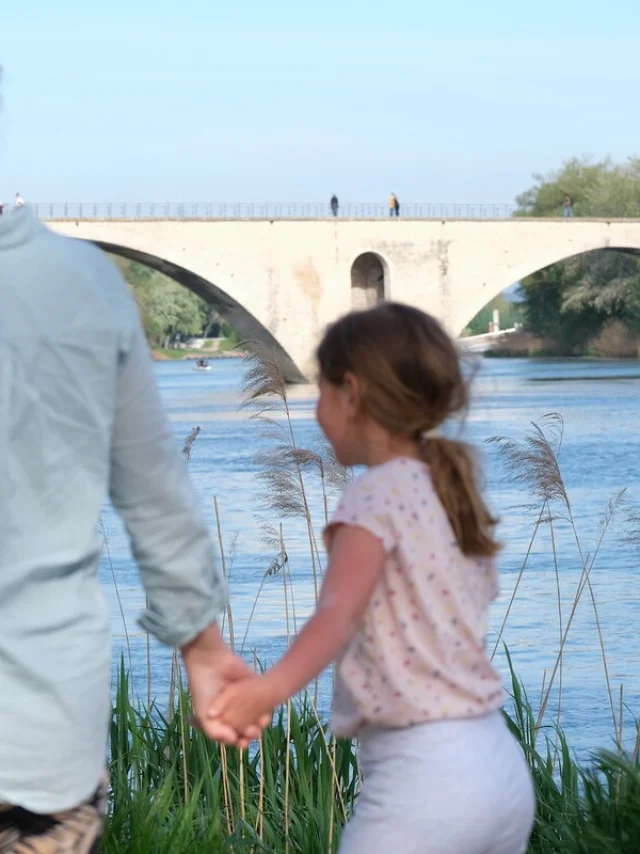 Pont d'Avignon