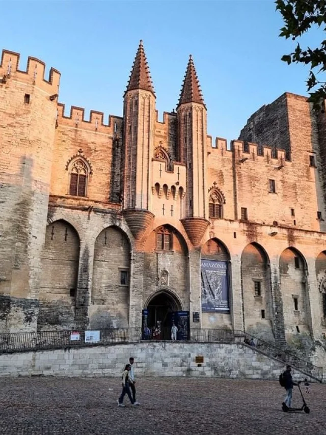 Palais Des Papes