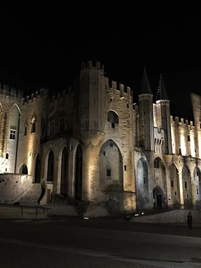Palais Des Papes Nocturne 2