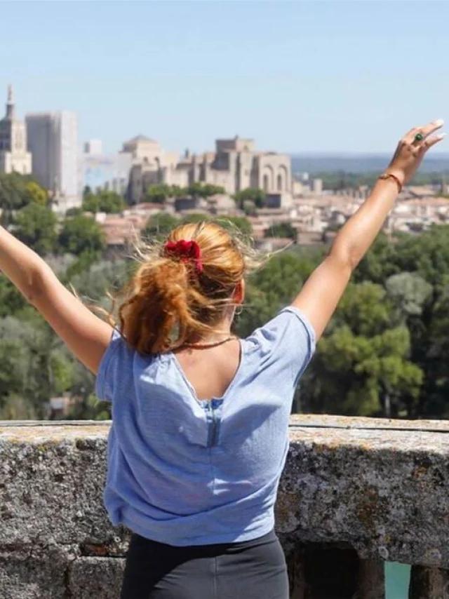 Vue Avignon Depuis Villeneuve