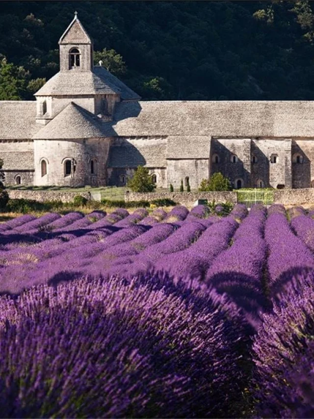Abbaye De Senanque